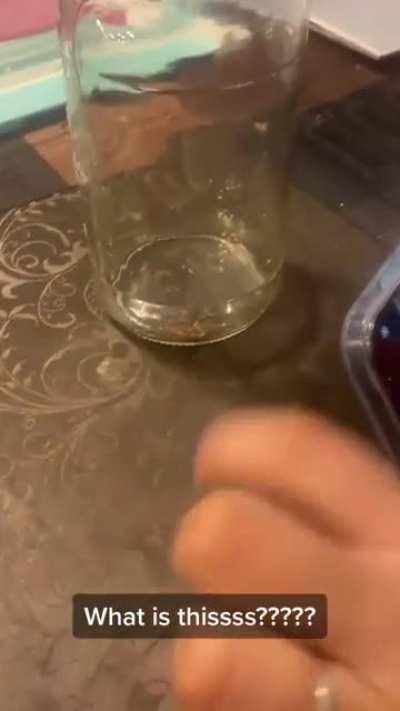 Real or Fake? I'm guessing this tiny wind scorpion is detecting infrared, if real that is.