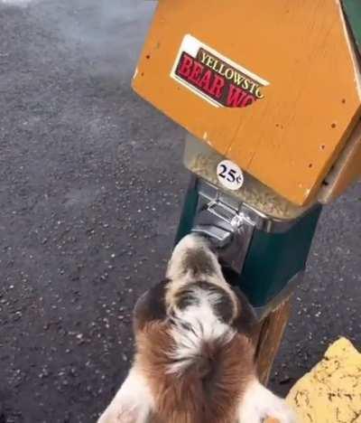 Lend me a quarter, bro.