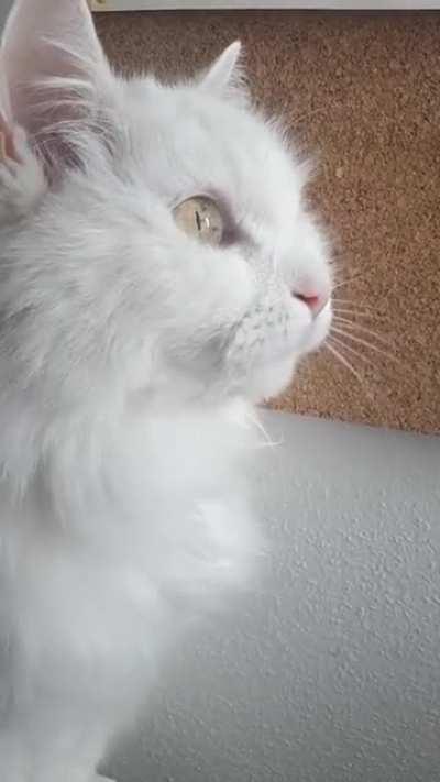 She saw a little bird!