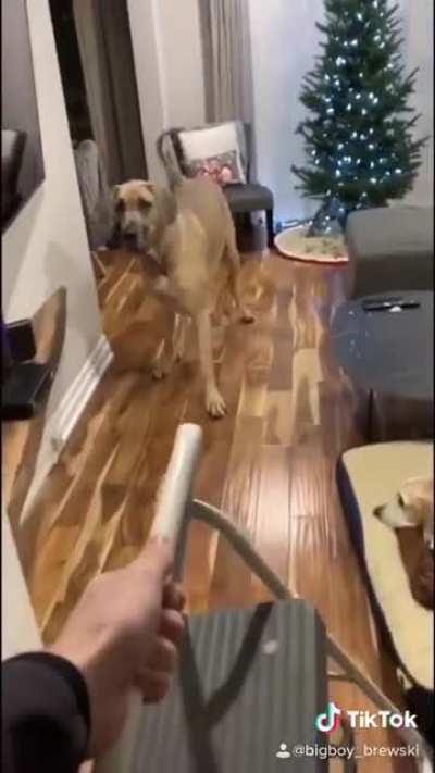 Expectation vs reality