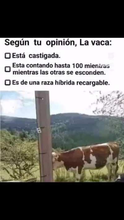 BeelcitosMemes - Video #9632