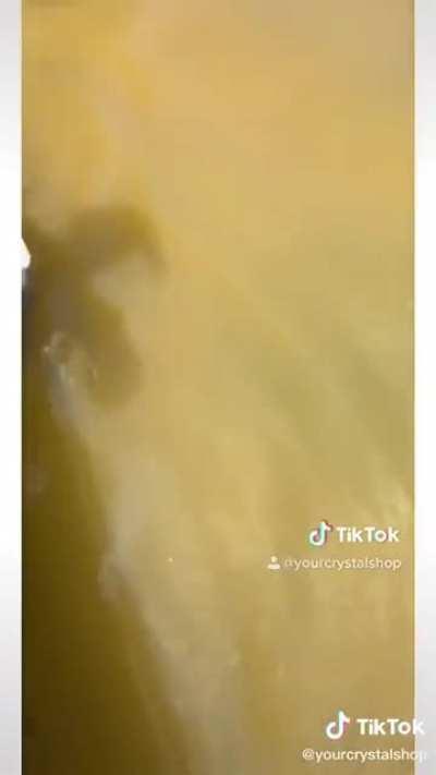 Bro couldn’t make it 