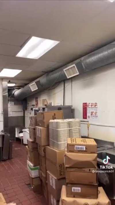 This army of rats in a restaurant kitchen