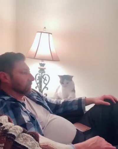 *tap tap tap* Excuse me sir, do you have a moment to pet me?