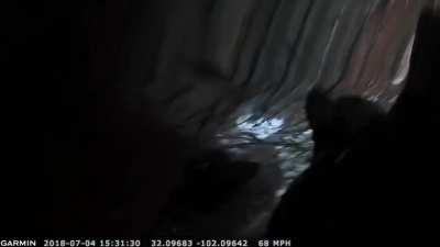 Pro Tip: Horns don't slow you down.