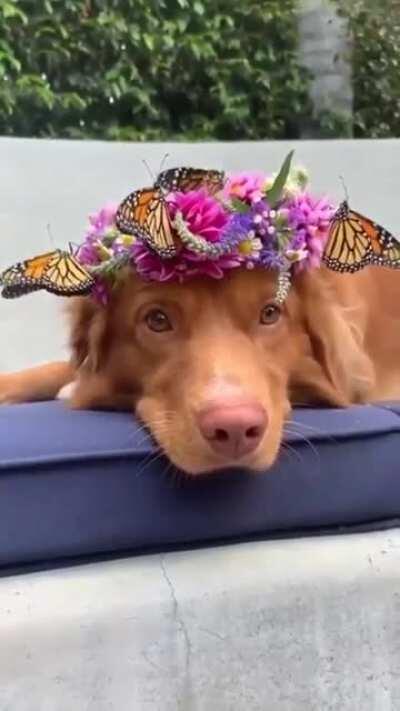 Felt Cute, Might Delete Later....