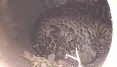 Olha porque tirei o escapamento barulhento da moto