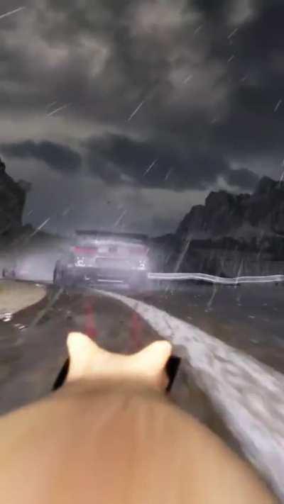 This is the fastest cat you ever seen