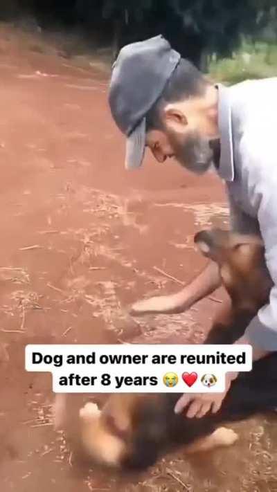 Dog and owner reunited after 8 years 