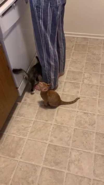 Scottjon is very excited for breakfast