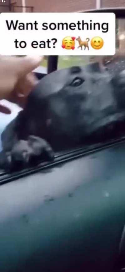 Him want something to eat