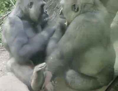 I just cross post this to download it