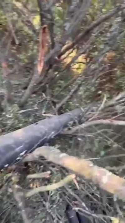 Russian crewman crushed by turret of his own tank