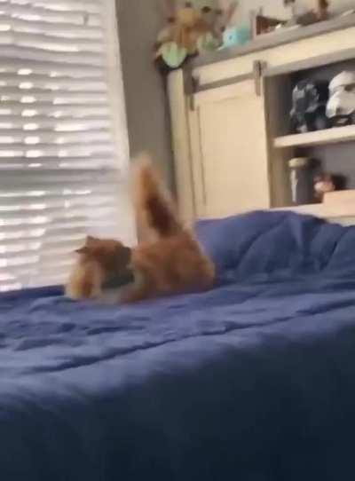 His ears sensed danger