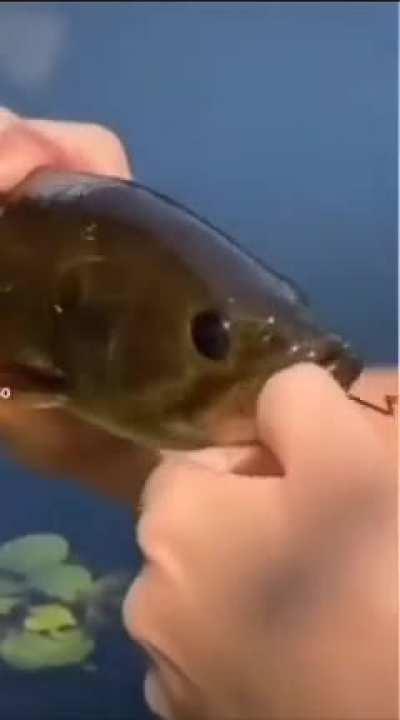 rubius cunado va a pescar