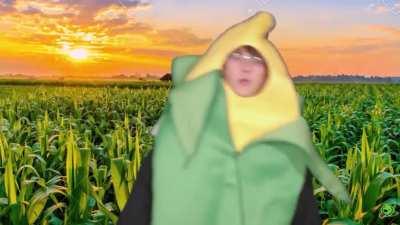 Corn