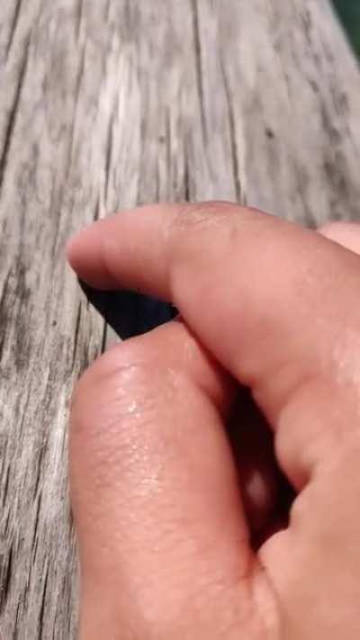 when you realize the bug is dead