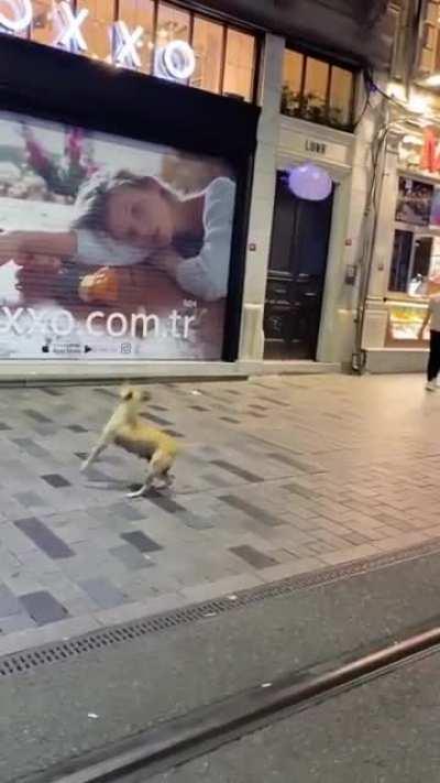 I can watch this all day