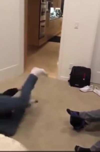 When life's reality check has a ponytail 😂