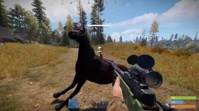 It seems the new emotes are quite deadly against horses!