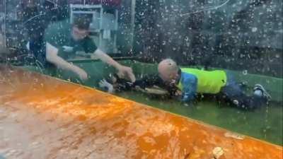 Bystander wrestles gator after it attacks keeper