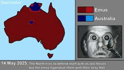 Emu War in Australia: Every Day