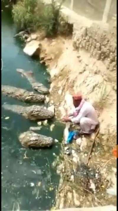 This is not a zoo and he is not a professional