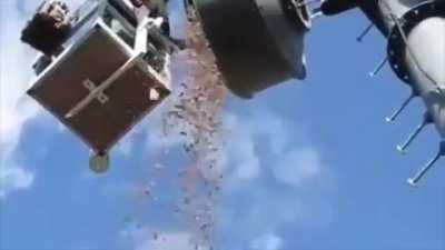 The squirrel stocked about 150 kilos of acorns inside the transmitting antenna.