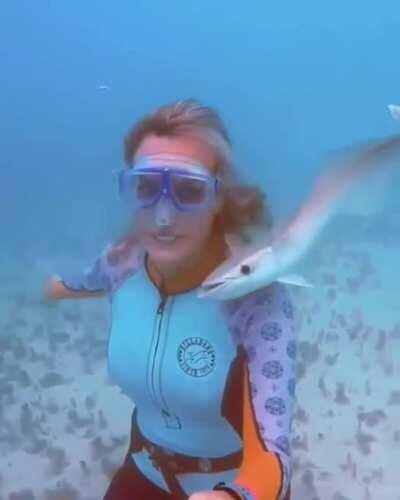 You are my shark now