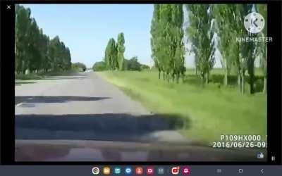 Russia: Crash leaves 1 dead and 1 hospitalized