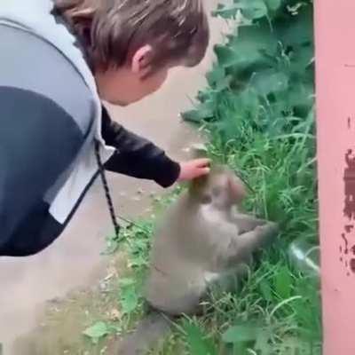 mucalol vs diamantes