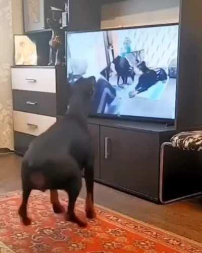 Getting that workout in