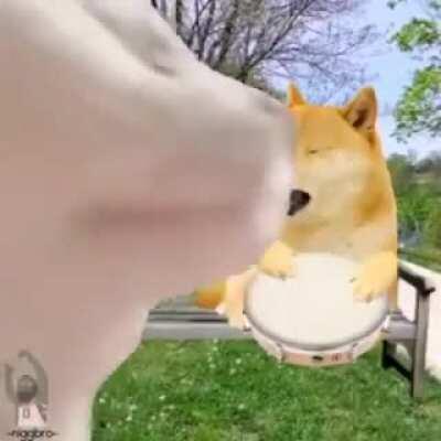 Wish this could have been true .