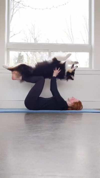 Secret here is doing Doga - that's right Yoga for dogs - who knew!? Gorgeously Cute and seriously impressive!