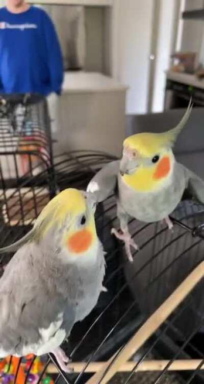 Brothers reuniting after a year. Turns out they have a lot to catch up on!