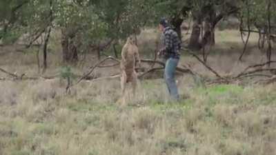 What the fuck was that