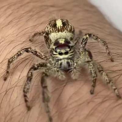 I love the cute little glance she makes once Rom sees she’s being filmed ❤️