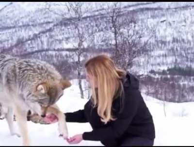 Turkification of the Balkans by the Ottomans 😏😏😏