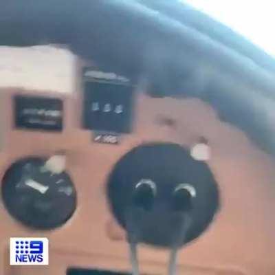 Large spider falls on Australian pilot while he’s landing the plane