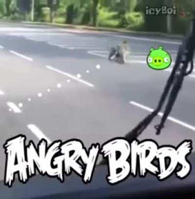 Blursed Angry Birds