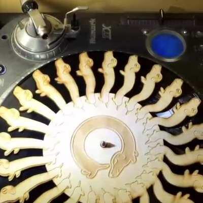 Black magic weiner (x-post from r/gifs)