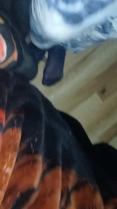 MistressDK crushed my finger here it pop 