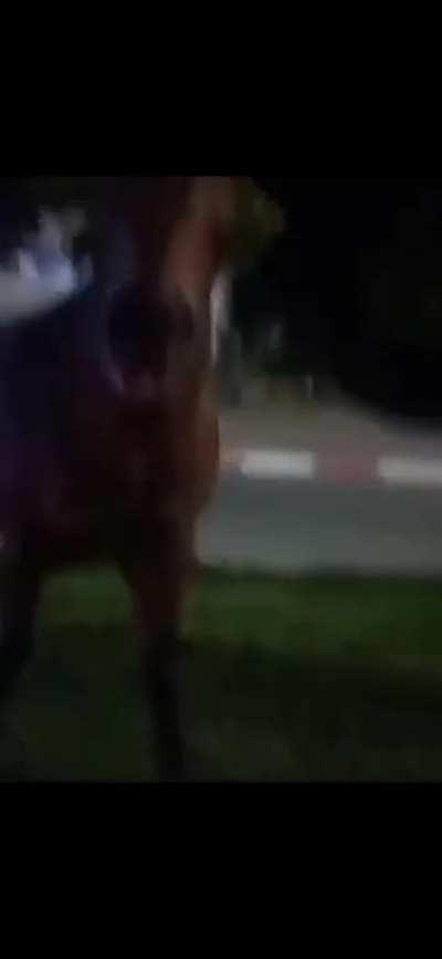 Yet despite that we always strive for that greatness knowing it ultimately means nothing yet not caring about that just happy to live in the moment 