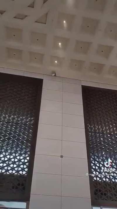 Targeted fire extinguishing device