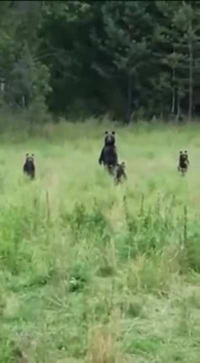 Командир пришел