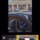 part 2 of the wild sighting