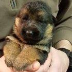 My heart... I can't.