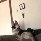 I’ve posted this elsewhere, but it’s too good not to share again.