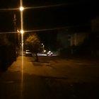 Just a bear being chased away out of town, by a taxi, in the middle of the night