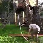 Crème de la crème stupid kid